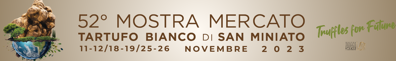 Tartufo San Miniato 2023