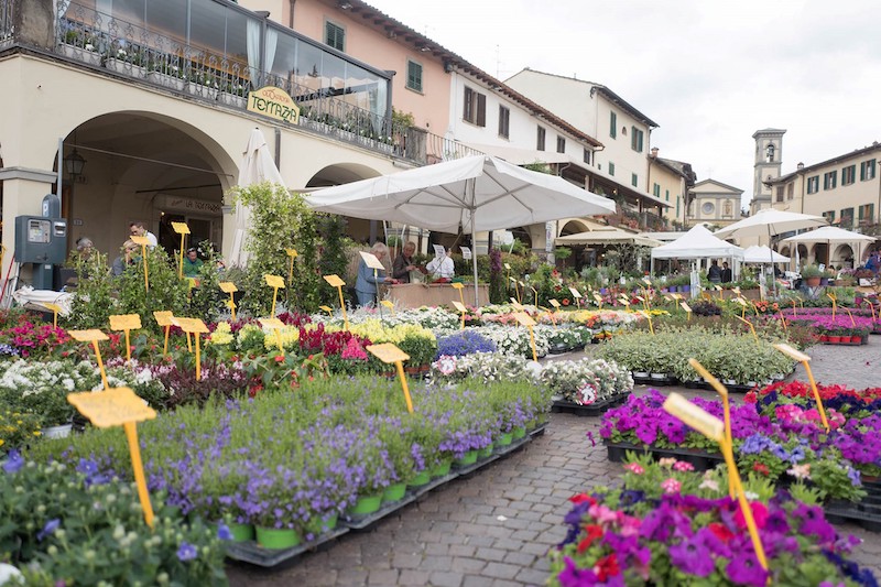 OGGI a FIRENZE e in TOSCANA